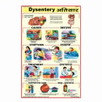 Dysentery Chart
